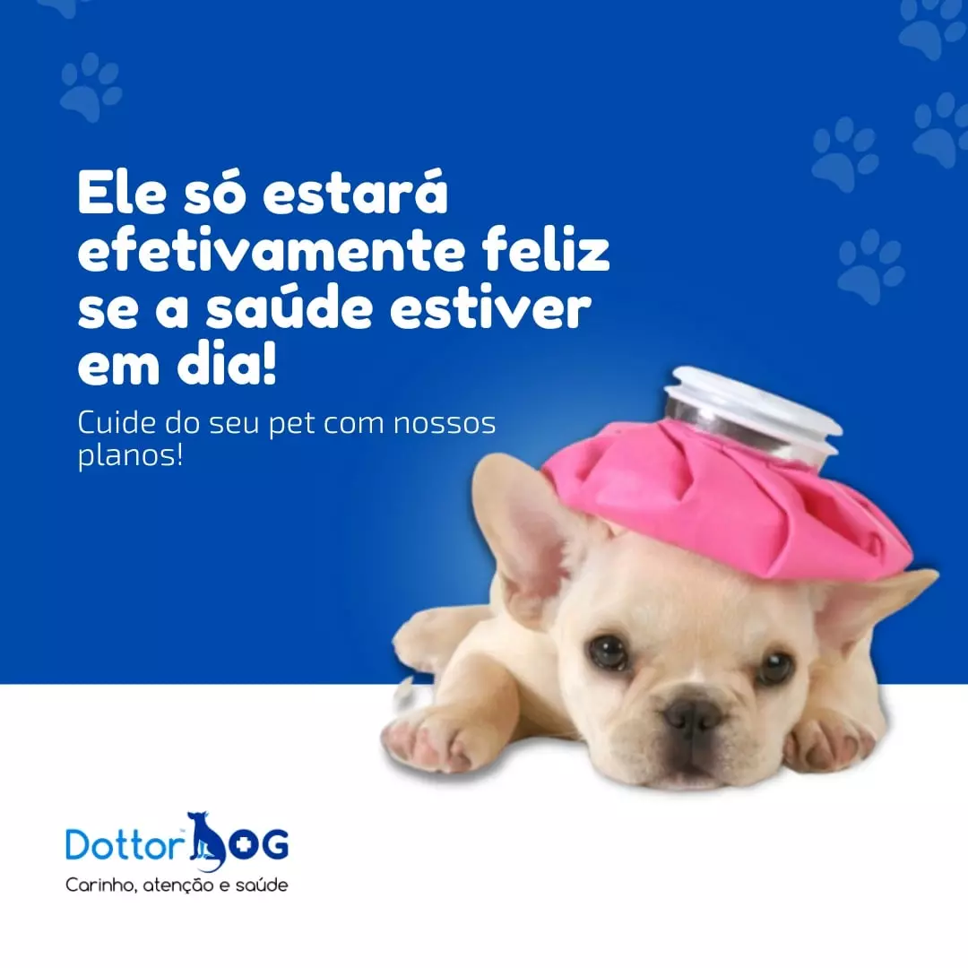 SAÚDE PET: DICAS PARA MANTER O ANIMAL SAUDÁVEL E FELIZ